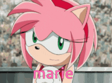 a close up of a cartoon character with the name marie