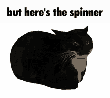 cat spinning cat maxwell the cat spinner but heres the
