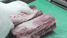 a person is cutting a piece of meat on a cutting board with the words made in animotica on the bottom
