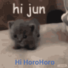 Horo Horo GIF - Horo Horo GIFs