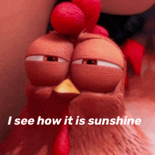 Glare Chicken GIF