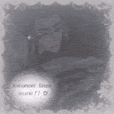 a gray background with the words testament loves marie