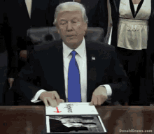 President Donald GIF - President Donald Trump GIFs