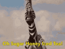Sugar Honey GIF - Sugar Honey Ice GIFs