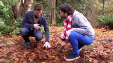 You'Re Doing It Wrong GIF - Forest Walk Leaves Ful L Grown Men GIFs