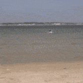 a person is standing on a beach with a bag on their back .