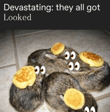 a bunch of stuffed animals with pancakes on their heads