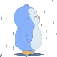 a blue and white penguin is sweating and standing in the rain
