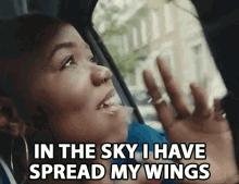 In The Sky I Have Spread My Wings GIF - In The Sky I Have Spread My Wings Fly GIFs