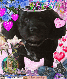 a picture of a black dog with a heart that says i love my dog on it