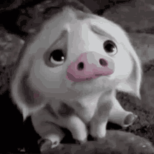Cute Pig GIF - Cute Pig Love GIFs