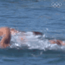 Freestyle Swimming Olympics GIF - Freestyle Swimming Olympics Swimming GIFs