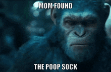 Mom Found The Poop Sock Planet Of The Apes GIF - Mom Found The Poop Sock Mom Found Poop Sock GIFs