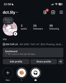 a phone screen shows the dashboard of a person named dct lily