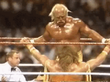 Hulk Blow Job GIF - Hulk Hogan Wrestle Wrestling GIFs