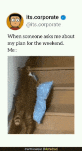 Funny Weekend GIF - Funny Weekend My Plans GIFs