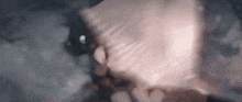 a close up of a person laying on a bed with a pillow on their head .