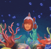 a clown fish with a man 's face on it is swimming in the ocean