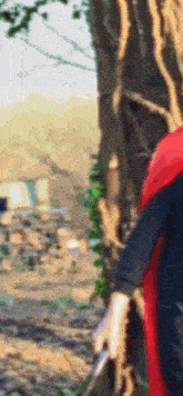 a person in a red cape is standing next to a tree holding a sword in their hand .