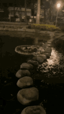 Silly Dude Coming Out Of The Water GIF - Silly Dude Coming Out Of The Water GIFs