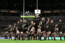 Haka New Zealand GIF - Haka New Zealand Rugby GIFs