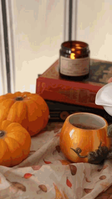 Pumpkin Is The Spice Of Life Fall Themed Ceramic Drinking Coffee