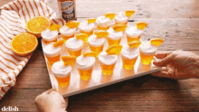 Beer Shots Alcohol GIF - Beer Shots Alcohol Serving GIFs