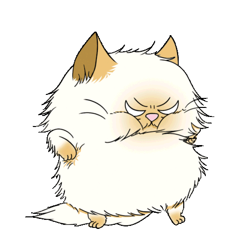 Angry Cat Persian Cat Sticker - Angry Cat Persian Cat Prince The Cat Stickers