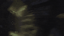 a screenshot of a video game with the words i 'm n visible