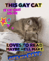 a cat wearing glasses is laying on a couch with the words " this gay cat loves to read "