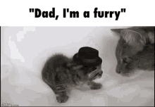Furry Im Furry GIF - Furry Im Furry Im Sorry GIFs