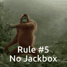 Rule5 Jackbox GIF - Rule5 Jackbox GIFs