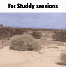 Fsc Flvs GIF - Fsc Flvs Study GIFs