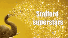 Stafford Superstars Stafford GIF - Stafford Superstars Stafford Superstar GIFs