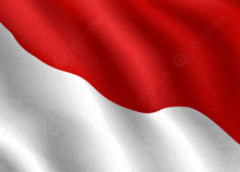 a red and white flag with pngtree written on the bottom right