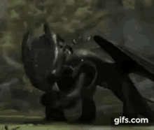 Toothless Httyd GIF - Toothless Httyd Washing GIFs