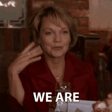 We Are Were Good GIF - We Are Were Good Yes GIFs