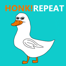 Goose Honk GIF - Goose Honk Quack GIFs