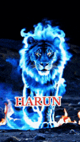 a picture of a lion with the name harun written on it