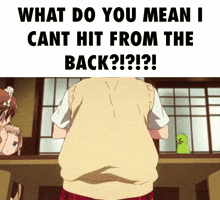 what do you mean i cant hit from the back ??