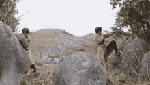 two people standing on rocks in a field with trees in the background