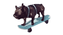 skateboarding doggy