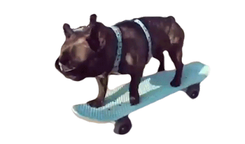 Dog Skateboard Sticker - Dog Skateboard Skateboarding Stickers