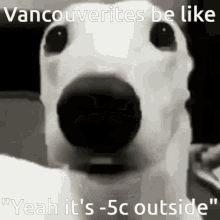Vancouver GIF - Vancouver GIFs