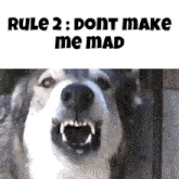 Szov Rule 2 GIF - Szov Rule 2 Dont Make Me Mad GIFs