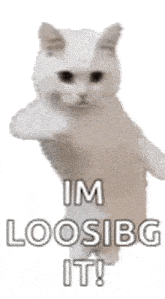 a white cat is standing on its hind legs with the words `` im loosibg it '' written on it .