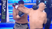 Andrew Tate Fighting Top G GIF - Andrew Tate Fighting Andrew Tate Top G GIFs