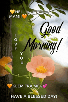 a picture of a flower with the words good morning