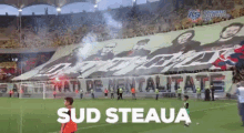 Sud Steaua Peluza Sud GIF