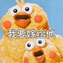 a couple of stuffed birds with big eyes are sitting next to each other and talking in chinese .